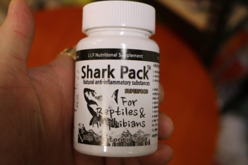 SHARK PACK (상어뼛가루) 50g